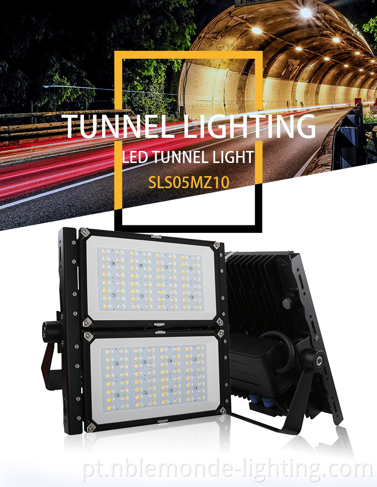 Tunnel LED module light